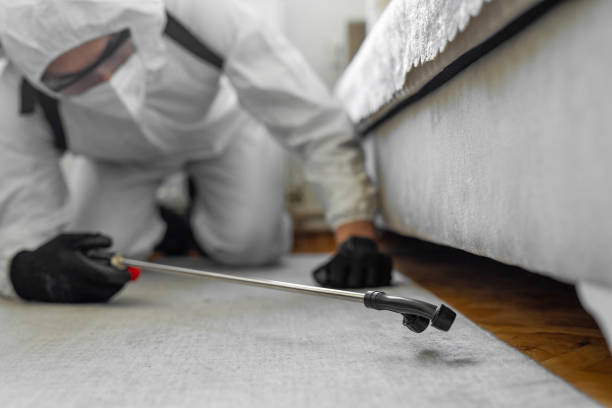 Professional Mosquito Control technician working in St. Clair, MO