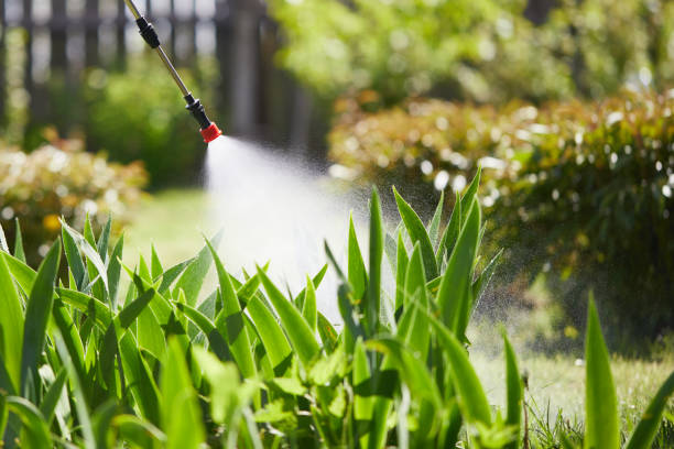 24/7 Emergency Mosquito Control experts in St. Clair, MO