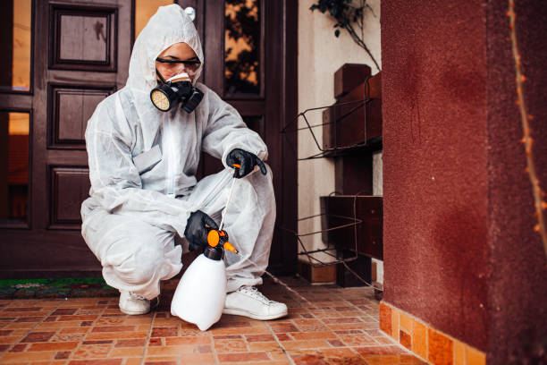 Reliable Mosquito Control contractor in St. Clair, MO by Nex Pest Control